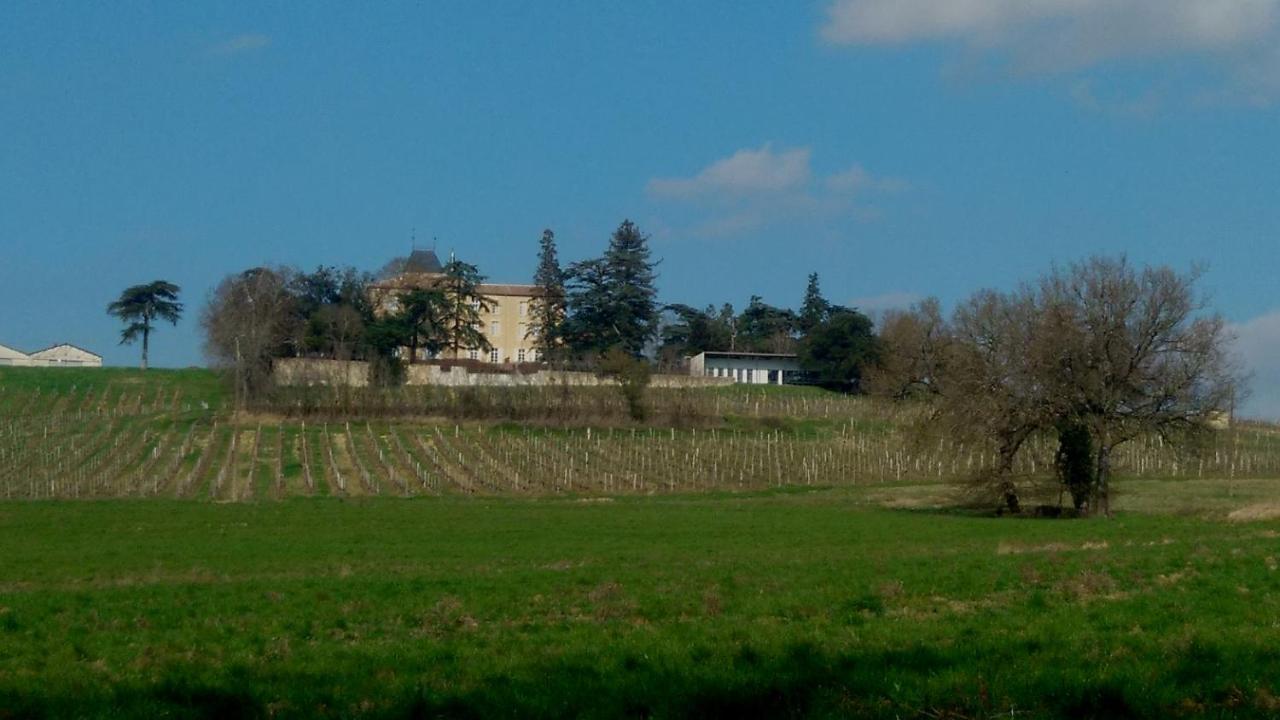 Chateau De Mons Armagnac Caussens Dış mekan fotoğraf
