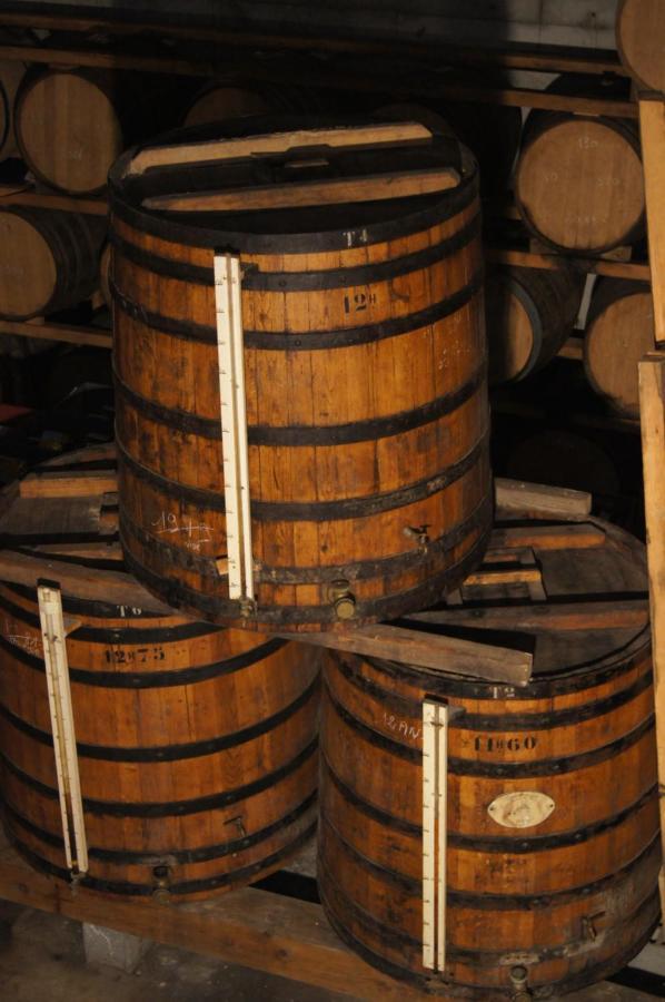 Chateau De Mons Armagnac Caussens Dış mekan fotoğraf