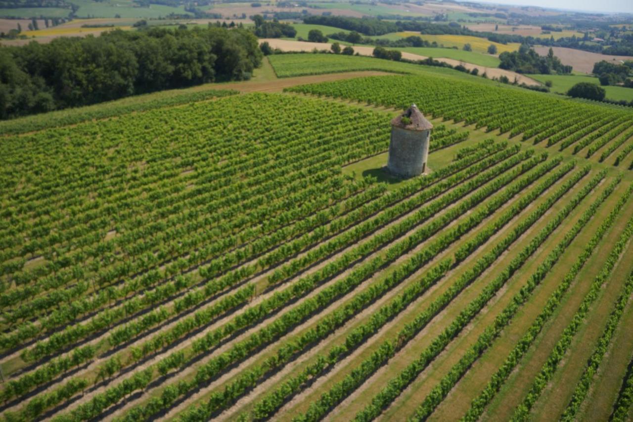 Chateau De Mons Armagnac Caussens Dış mekan fotoğraf